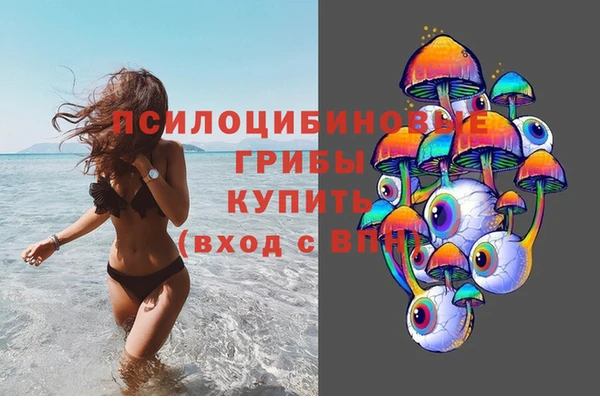 дживик Баксан