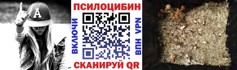 Псилоцибиновые грибы мицелий  Купить где  Давлеканово 